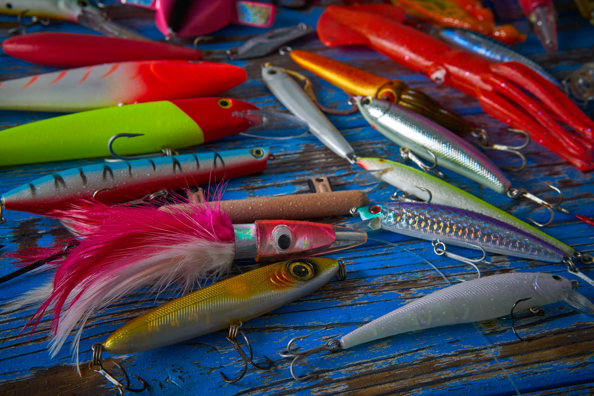 What To Know About Fishing The Basics Lovit Charter Boat What To Know About Fishing The Basics Lovit Charter Boat