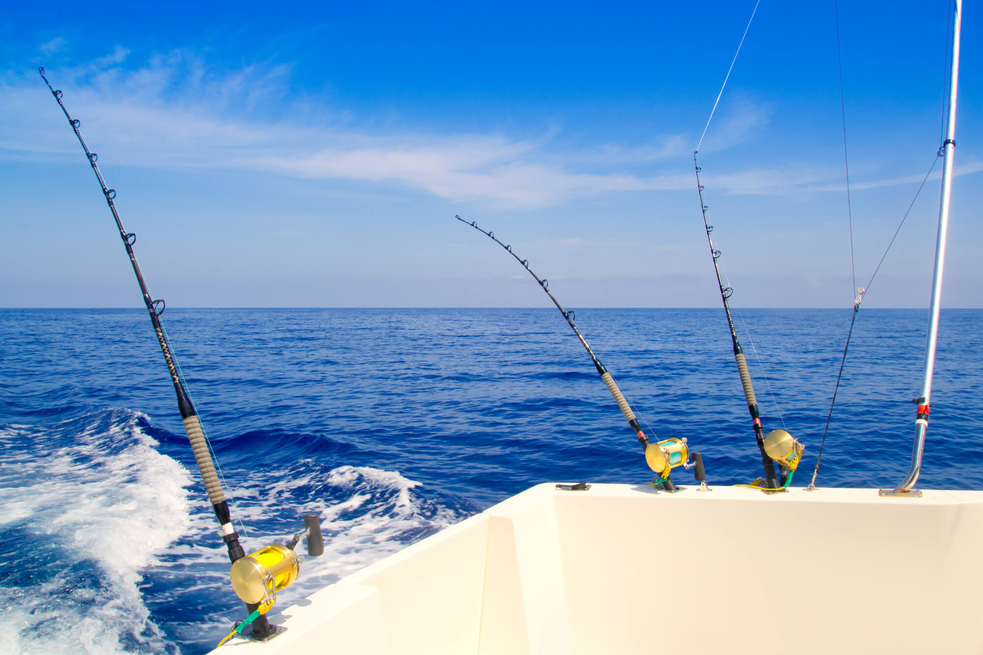 Pesca en barco Lovit Charter Marbella