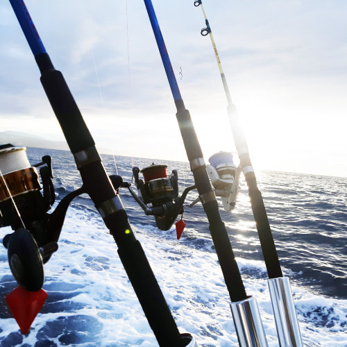 pesca-en-barco-lovit-charter