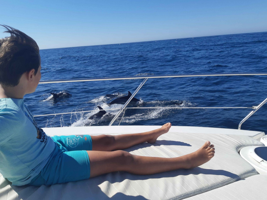 Vista de delfines en barco Lovit Charter Marbella