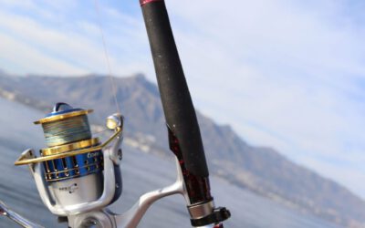 5 Consejos de pesca de fondo en Marbella