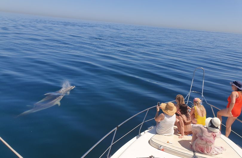 Equipo para pesca de fondo en Marbella - Lovit Charter