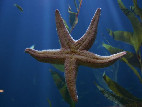 Excursiones en barco en Marbella