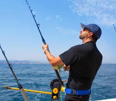 Lovit Charter - Salir en Barco en Marbella