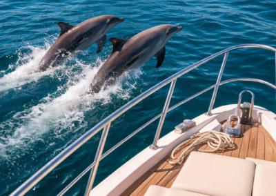 Boat Tours in Marbella: Fishing, Relax and Party Excursions